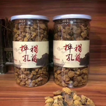 桦树茸孔菌颗粒泡水可以服用的两盒包邮