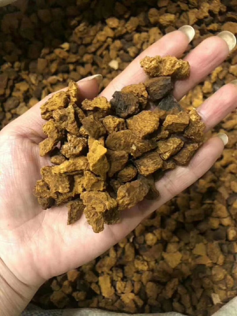 桦树茸孔菌颗粒泡水可以服用的两盒包邮