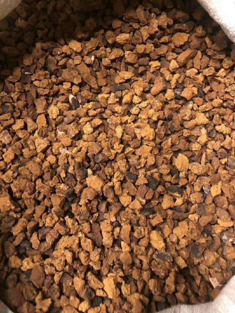 桦树茸孔菌颗粒泡水可以服用的两盒包邮