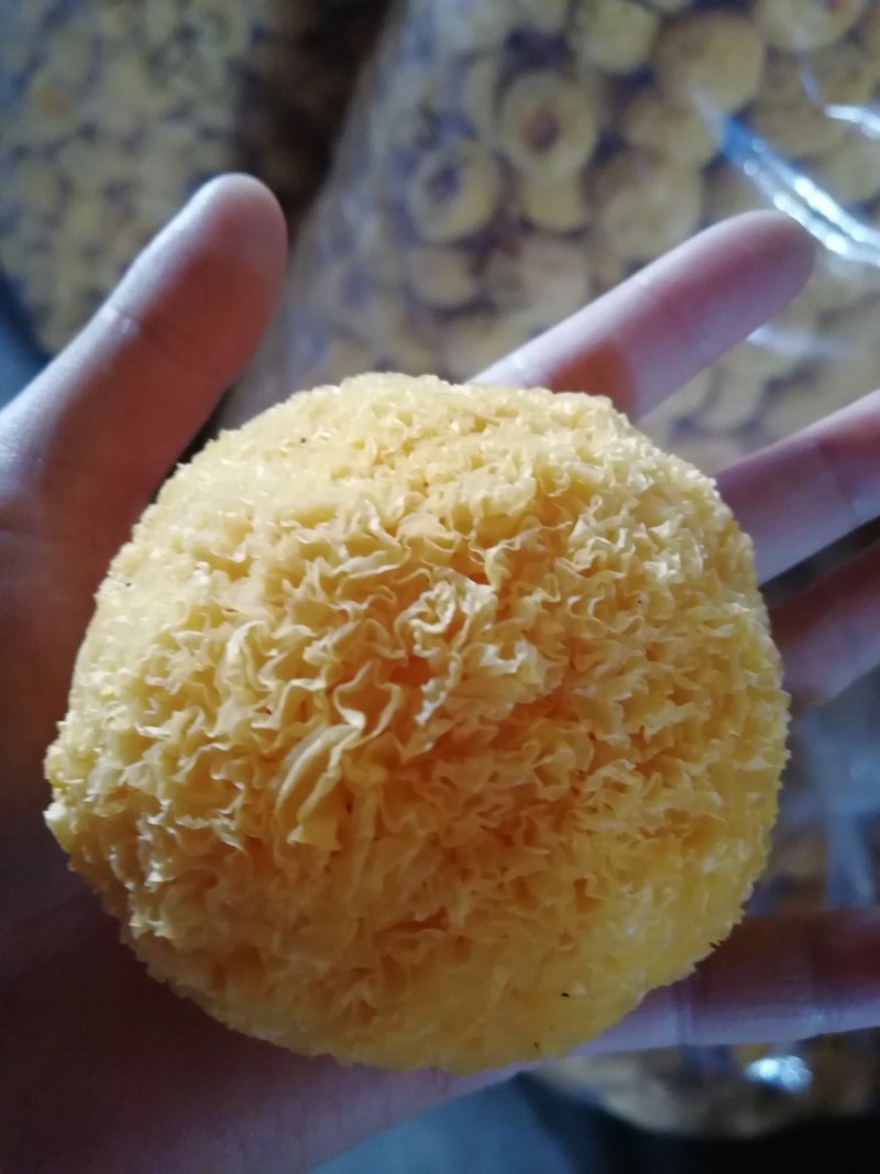 原产地厂家直销丑耳雲耳糯耳黄金耳干银耳易出胶银耳