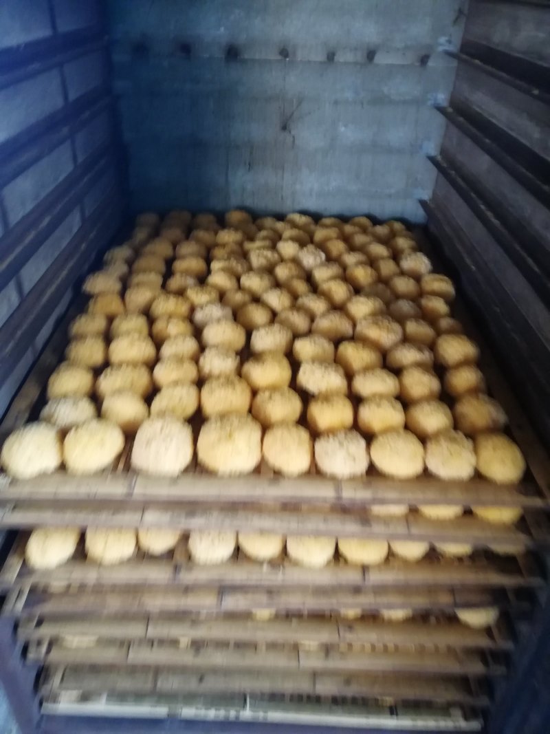 原产地厂家直销丑耳雲耳糯耳黄金耳干银耳易出胶银耳