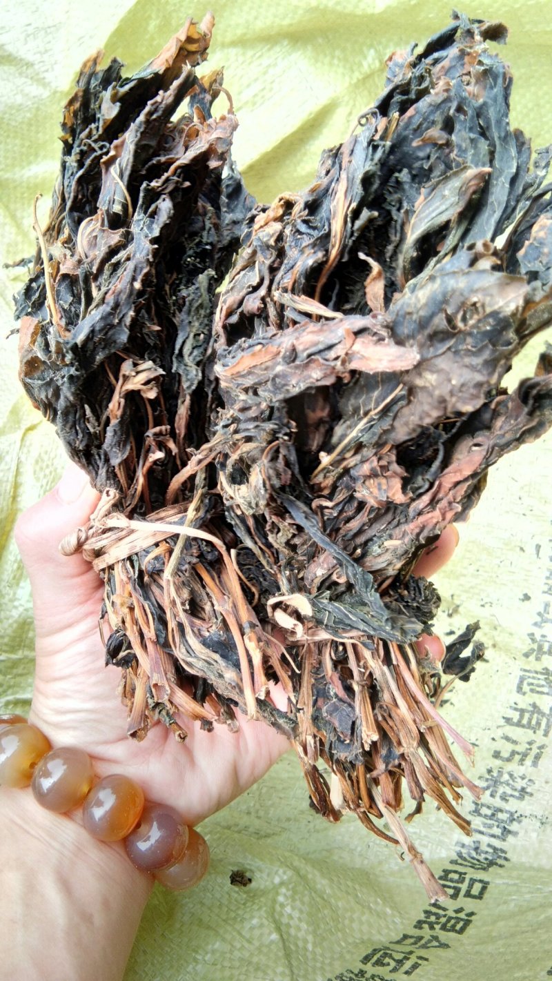 苦菜干