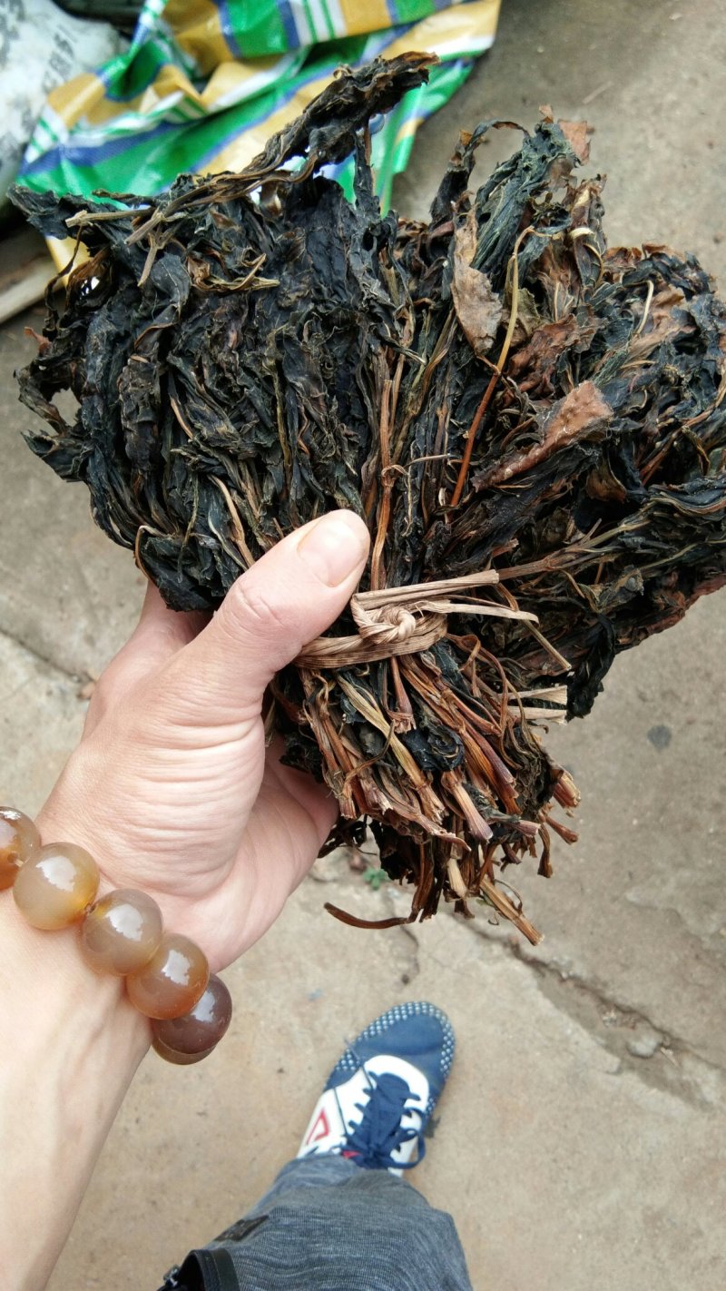苦菜干