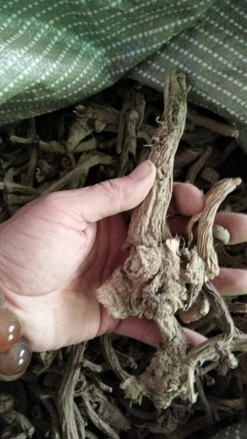 续断