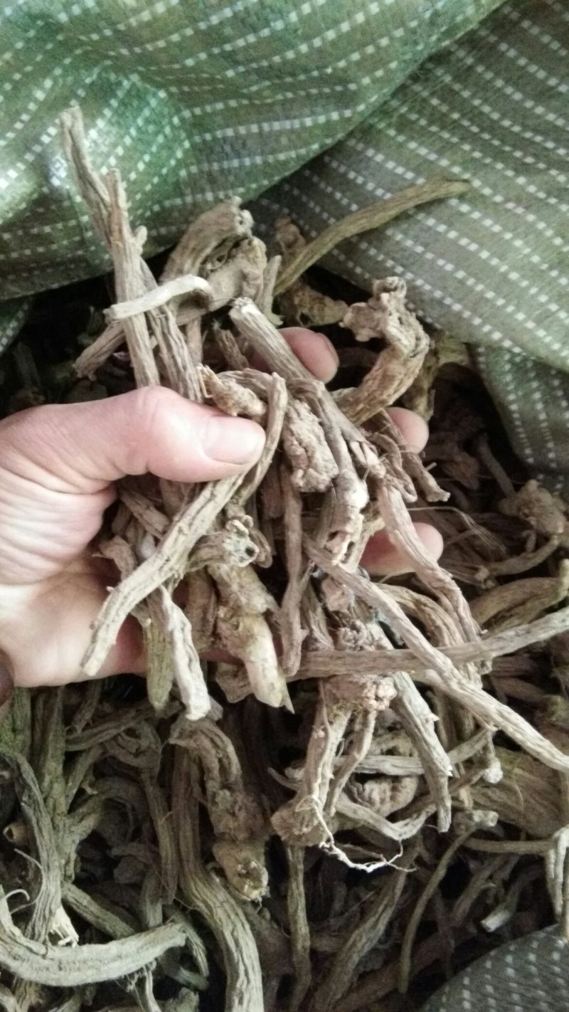 续断
