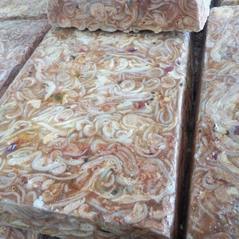 鱼饲料