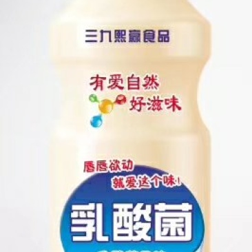 胃动力乳酸菌
