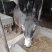 山东曹县林家驴肉