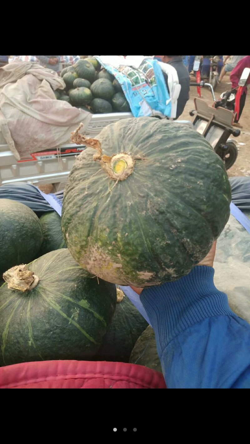 南瓜大量上市