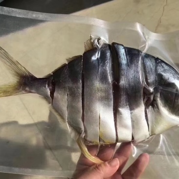 阳江特产金鲳鱼鱼干海鲜干货深海鲳鱼自晒腌制咸鱼淡晒昌