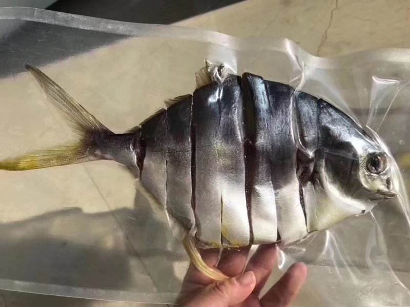 阳江特产金鲳鱼鱼干海鲜干货深海鲳鱼自晒腌制咸鱼淡晒昌