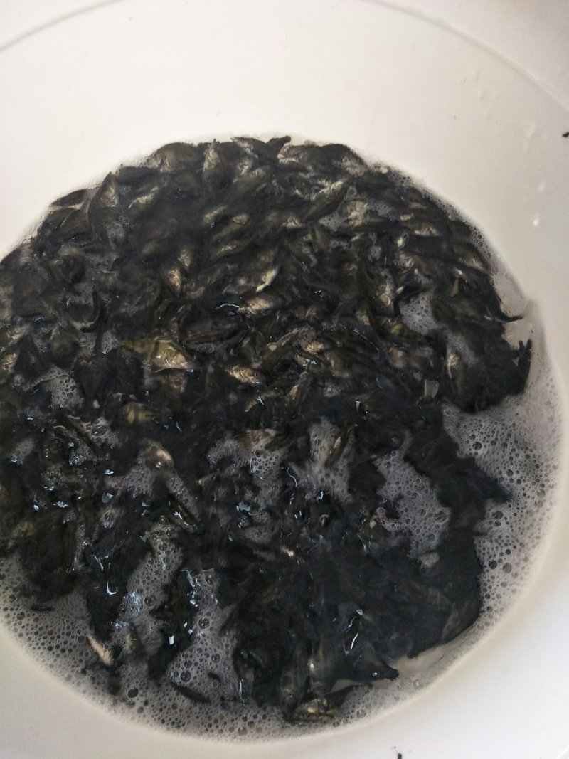 水产