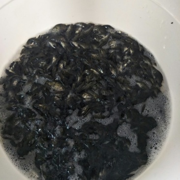 水产