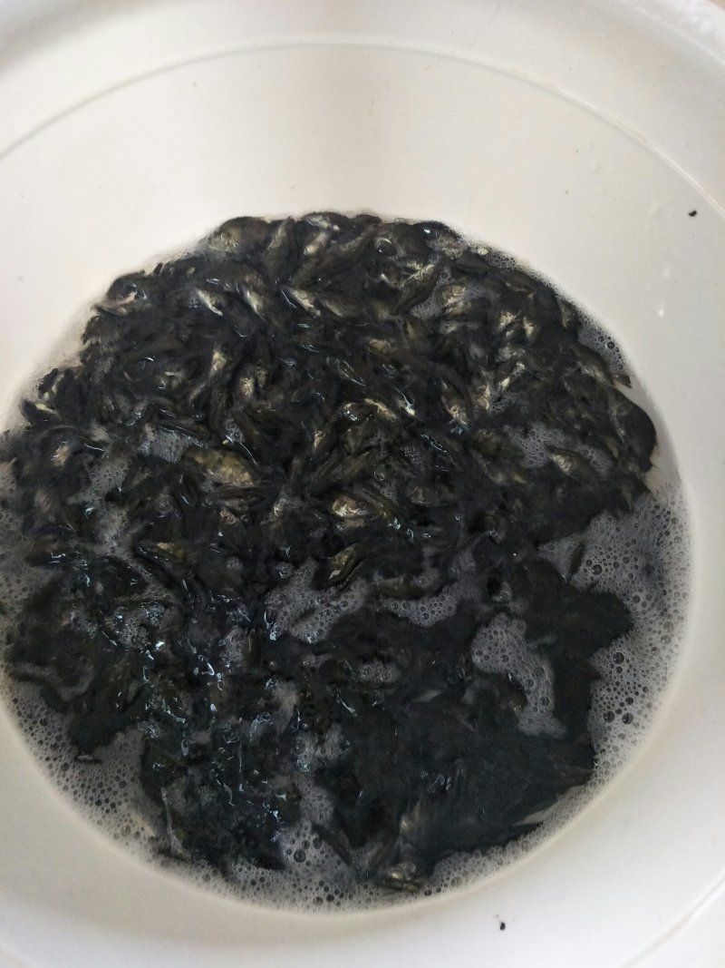 水产