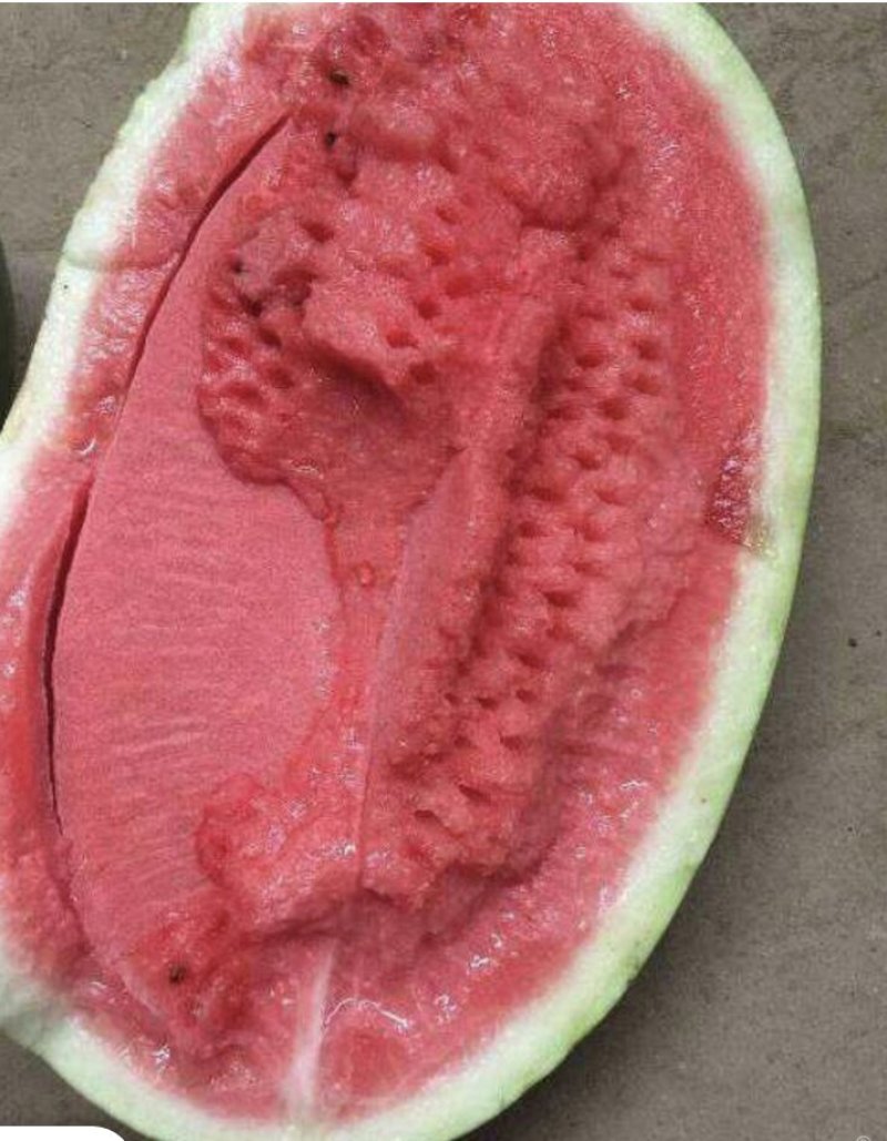 龙卷风西瓜甜王西瓜