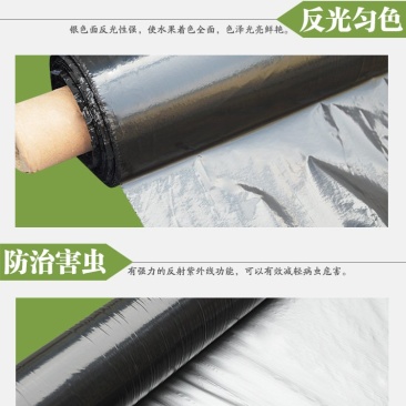 农用抗老化银黑双面反光地膜