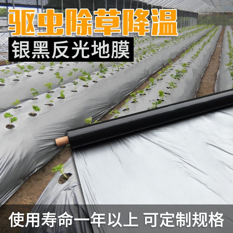 农用抗老化银黑双面反光地膜