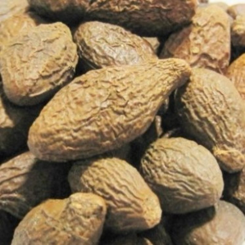 胖大海新货胖大海***正品保证假一赔十长果圆果胖大海