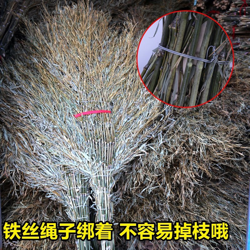 户外马路工地园林竹扫帚