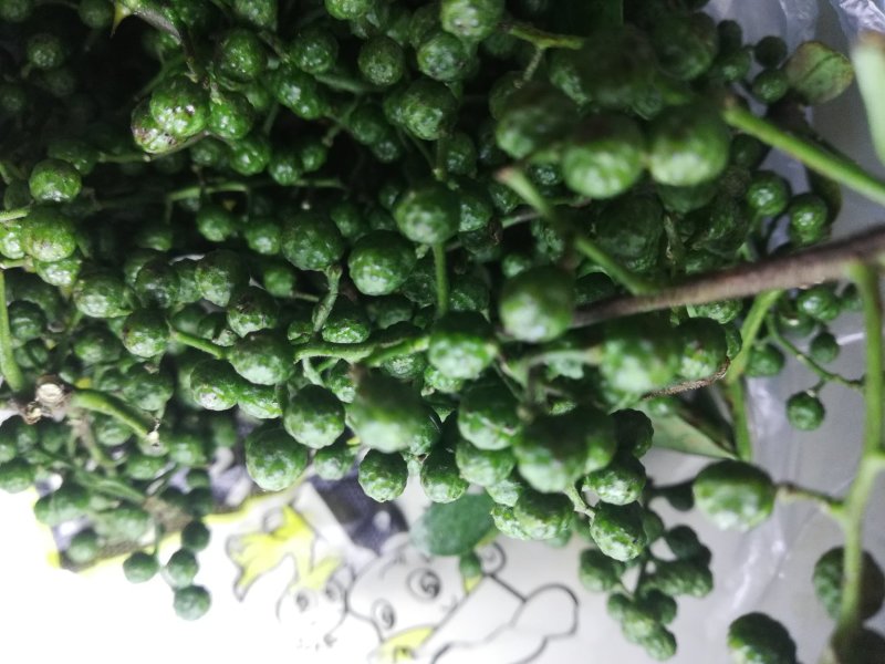 江津鲜花椒