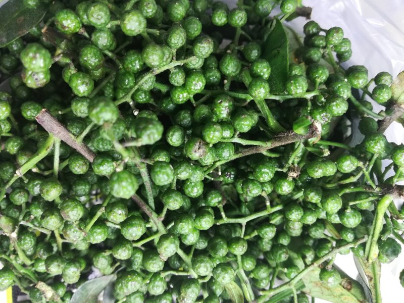 江津鲜花椒