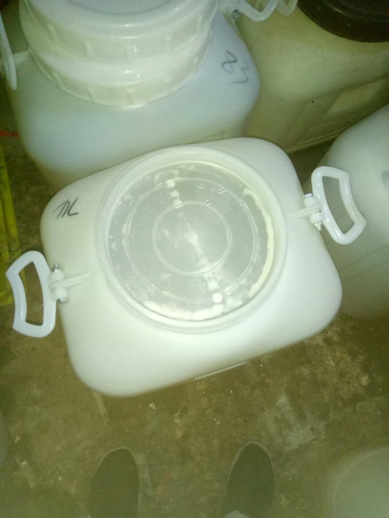 洋槐蜜(今年新蜜，批发)