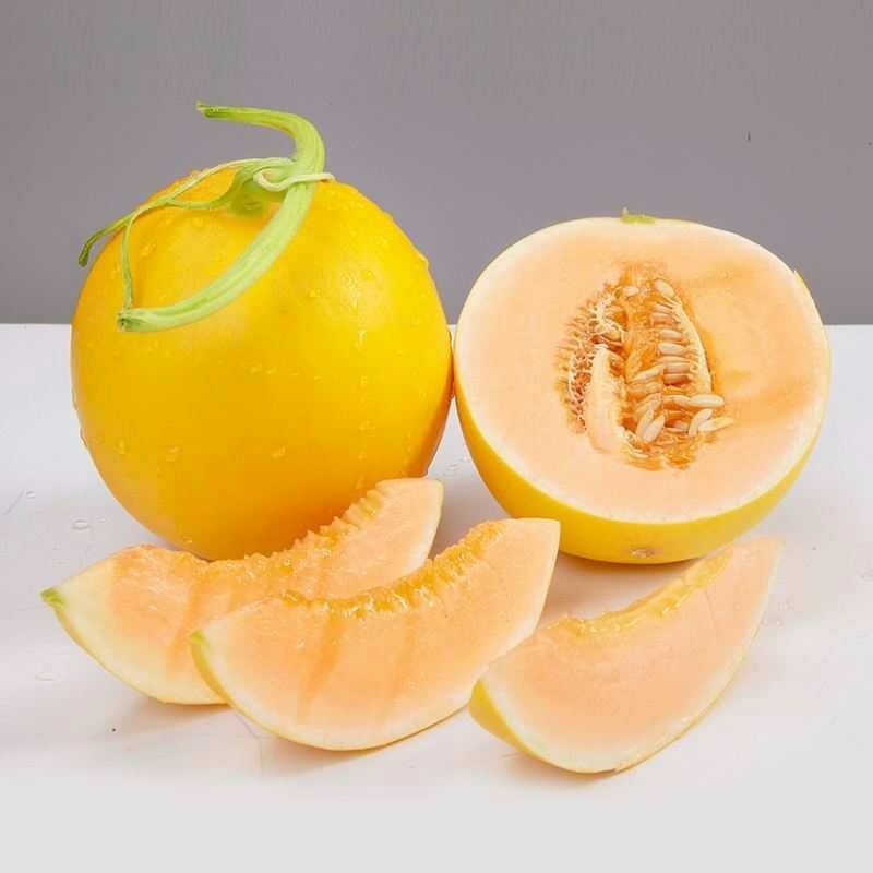 雪里红甜瓜