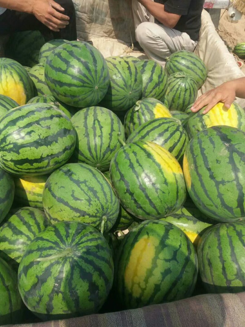 甜王西瓜