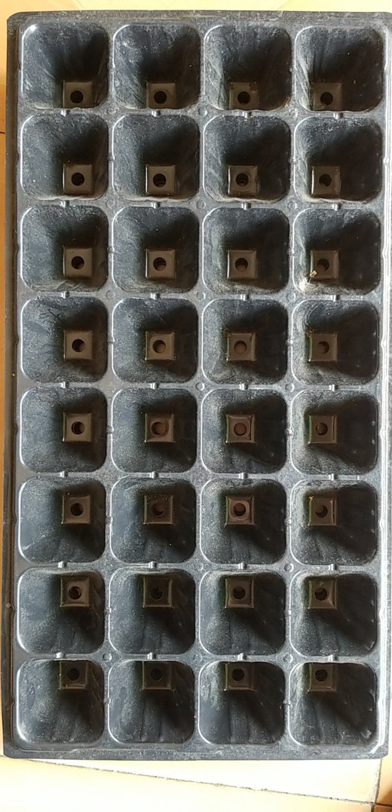 穴盘牛商推荐量大从优