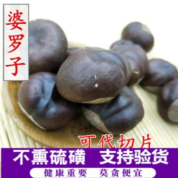 婆罗子供应上千种中药材