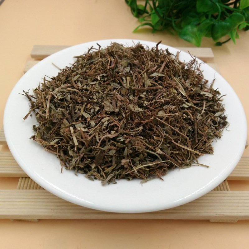 叶下珠供应上千种中药材