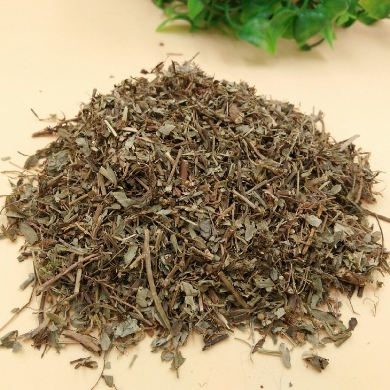 叶下珠供应上千种中药材
