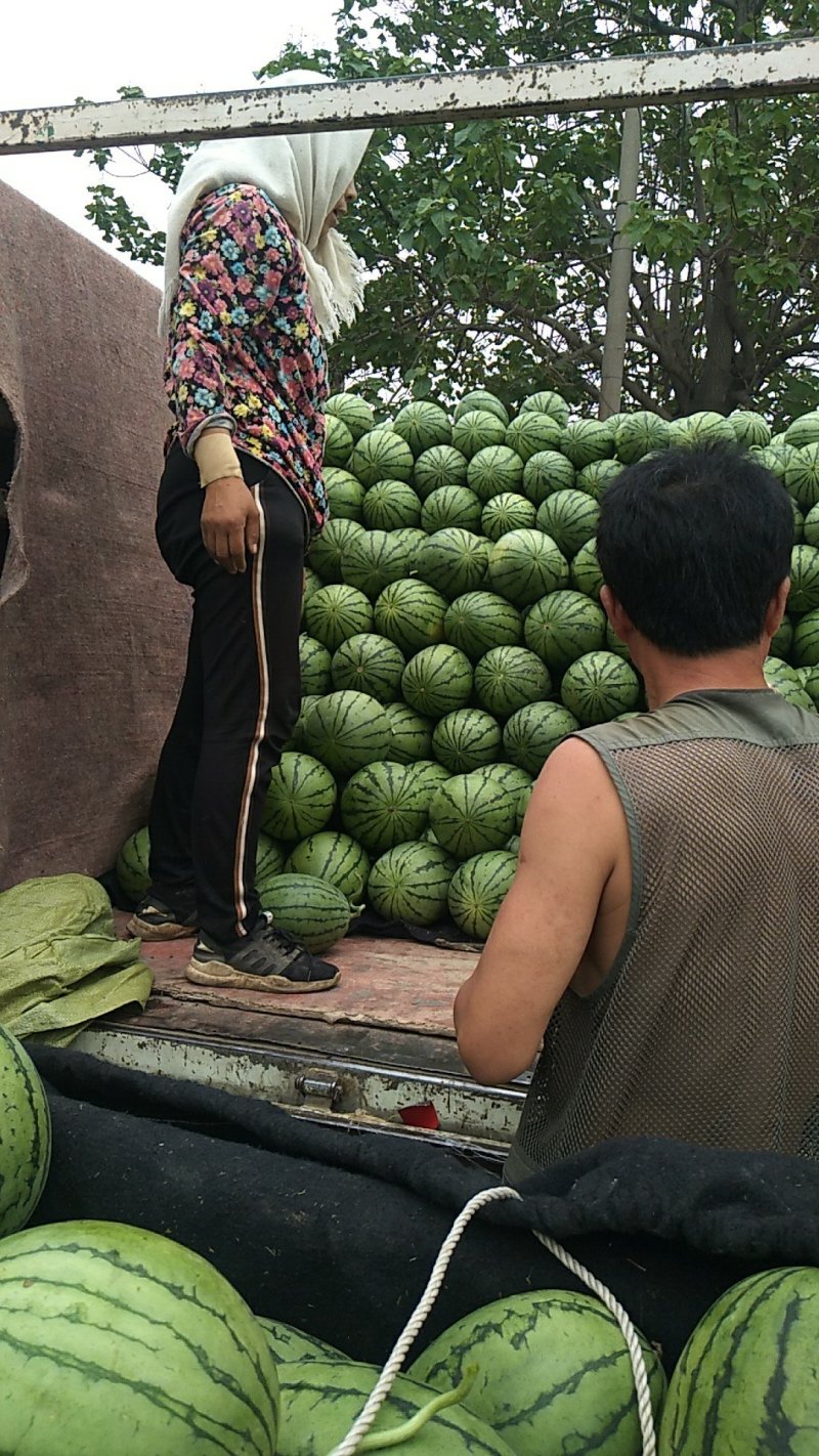 二k西瓜小糖精品小西瓜2k皮薄脆甜，量大从优，长期合