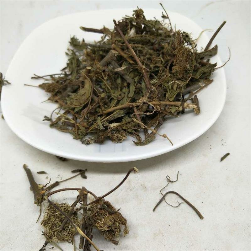 含羞草供应上千种中药材