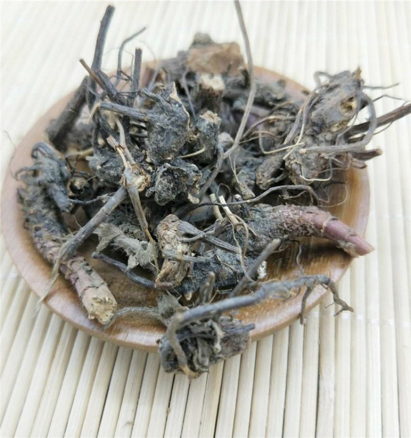 含羞草根供应上千种中药