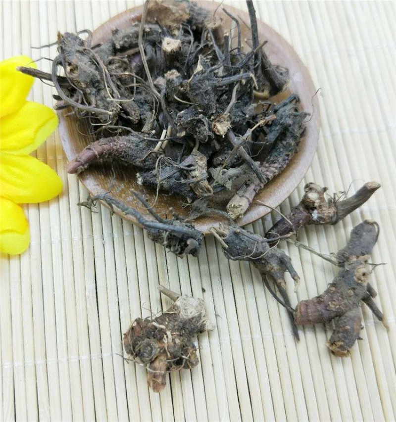 含羞草根供应上千种中药