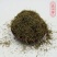 西河柳供应上千种中药材