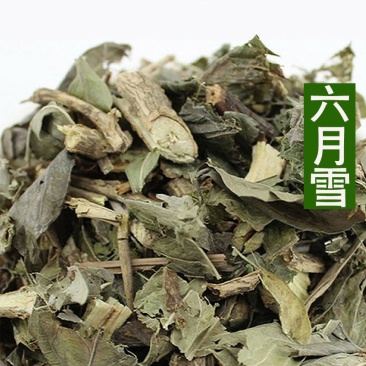 六月雪供应上千种中药