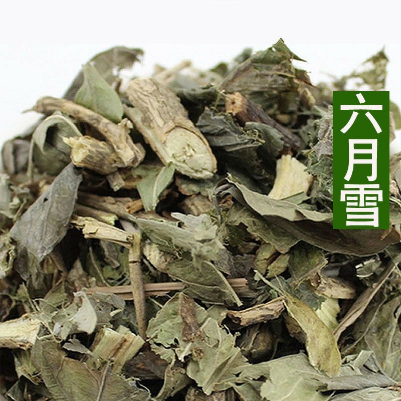 六月雪供应上千种中药