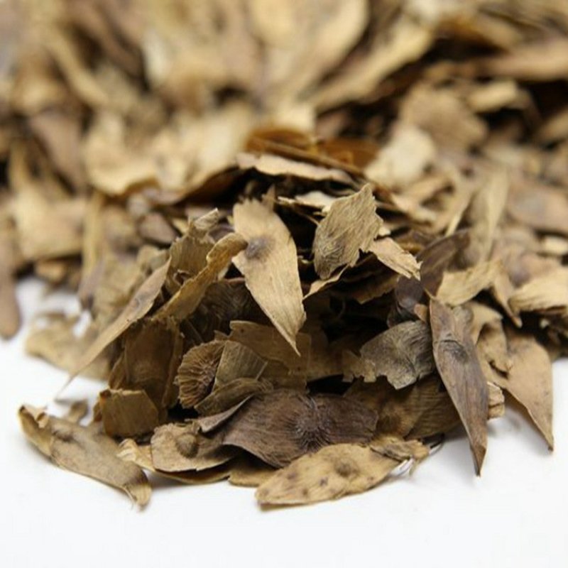 凤眼草供应上千种中药材