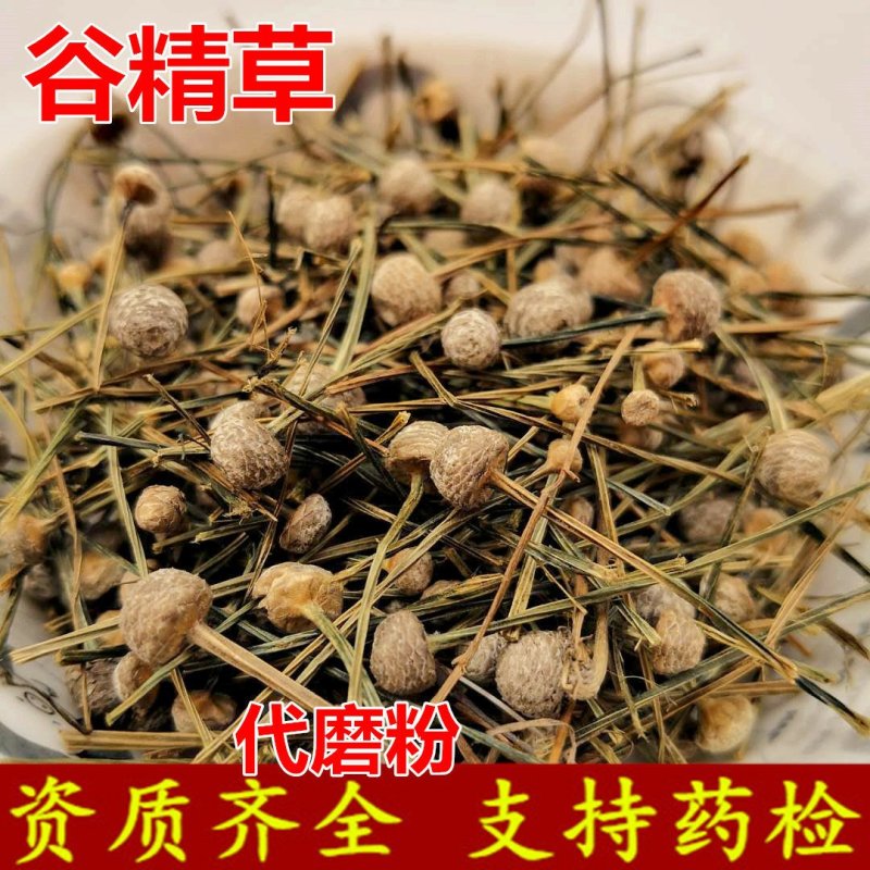 谷精草供应上千种中药材