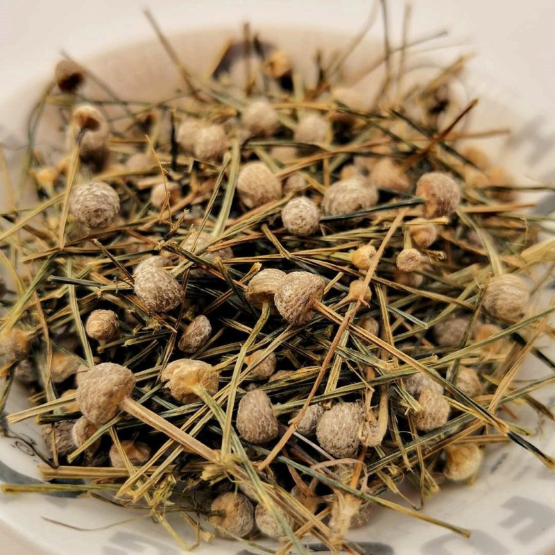 谷精草供应上千种中药材
