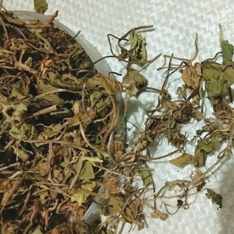 积雪草供应上千种中药材