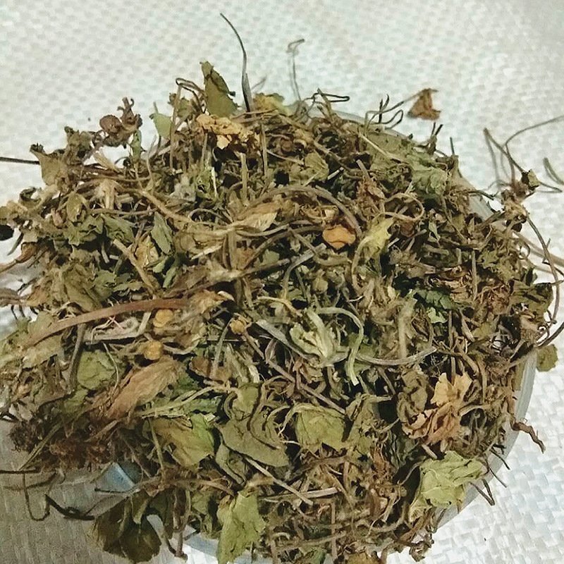 积雪草供应上千种中药材