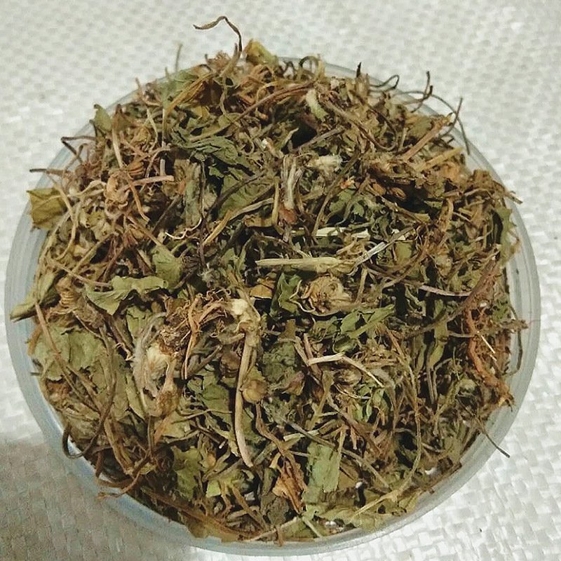 积雪草供应上千种中药材