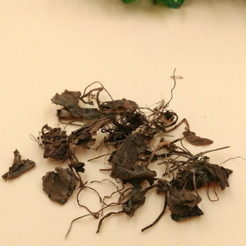 虎耳草供应上千种中药材