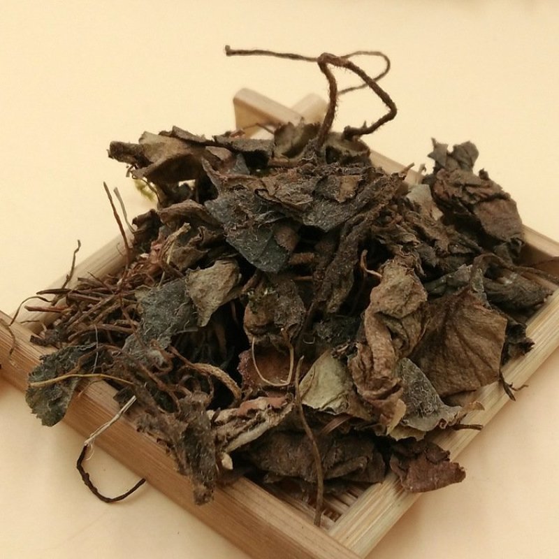 虎耳草供应上千种中药材
