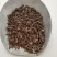 香排草排草供应上千种中药材