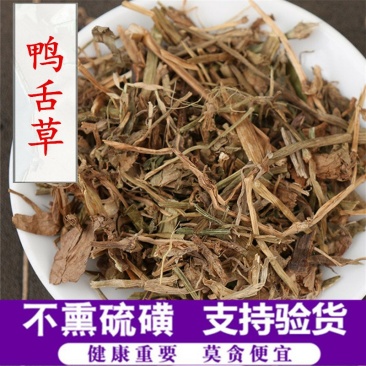 鸭舌草供应上千种中药材