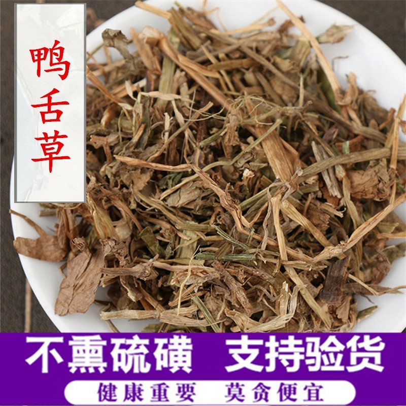 鸭舌草供应上千种中药材